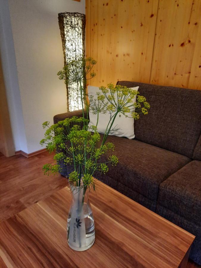 Haus Untergand Lägenhet Sankt Anton am Arlberg Exteriör bild